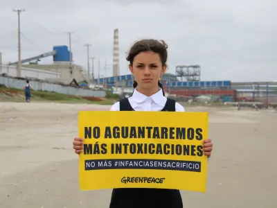 Balance anual de Greenpeace:  Lo que nos dejó (y quitó) 2025 en materia ambiental
