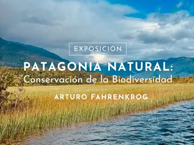 Celebrando el Mes de la fotografía: Arturo Fahrenkrog y Marcelo Salazar se presentarán en Centro Cultural Bosque Nativo