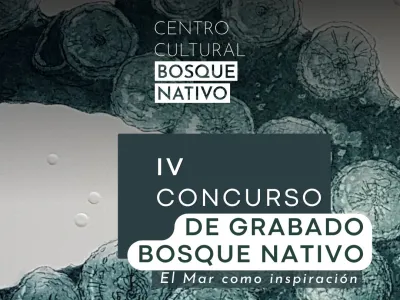 Centro Cultural Bosque Nativo convoca desde Puerto Varas a artistas de todo Chile para el IV Concurso Nacional de Grabado
