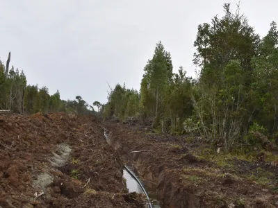 Chile Rural ficha a ex fiscal Gajardo y solicita pronunciamiento de Contraloría por circular del Servicio Agrícola Ganadero (SAG)