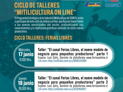 Ciclo de talleres online busca entregar nuevas herramientas y alternativas económicas a mitilicultores de Los Lagos