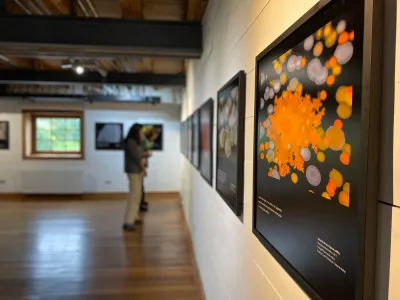 Científicos de Harvard invitan a la comunidad a sorprenderse con la belleza del mundo microscópico en el CAMM