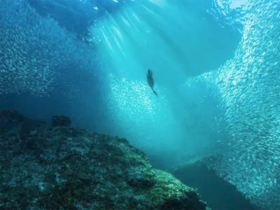 CINCO Chile busca convertir la costa chilena en un laboratorio global de innovación oceánica
