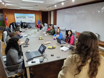 Comité de expertos traza primeras líneas: ¿Qué debemos priorizar para que la región sea sostenible e inclusiva?
