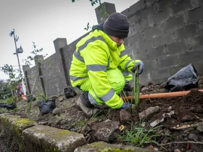 Concejo Municipal de Puerto Varas aprobó recursos para demarcación vial y Ordenanza de Áreas Verdes y Arbolado Urbano