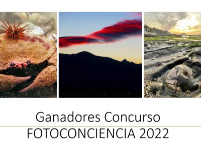 Concurso FOTOCONCIENCIA UACh 2022 presenta a sus ganadores