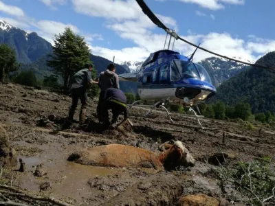 Continúa operativo de rescate de animales tras aluvión en Villa Santa Lucía