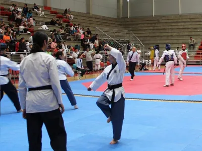 “Copa Puerto Varas” de Taekwondo se disputará en Coliseo Municipal el próximo mes de julio