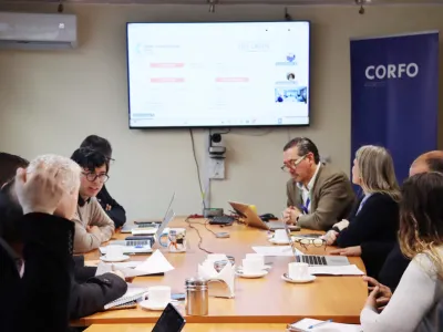 Corfo y el Comité de Desarrollo Productivo aprueban nuevas iniciativas para apoyar a las empresas de Los Lagos