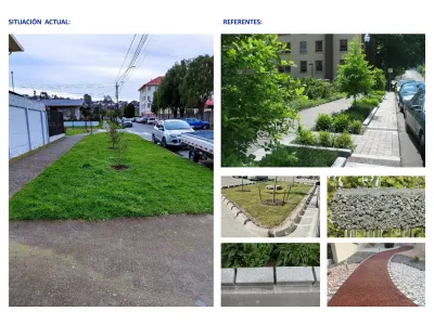 Con participación ciudadana culmina fase 4 de proyecto que busca construir innovadores jardines de lluvias en el centro de Puerto Varas