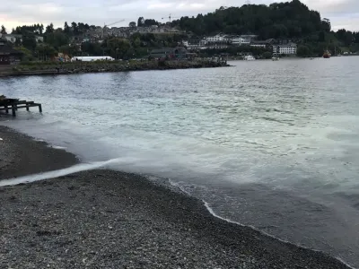 Departamento de Medio Ambiente Municipal investiga origen de sustancia blanquecina que escurrió el pasado fin de semana al lago