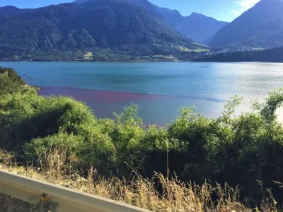 Descartan que discoloración observada en aguas de Cochamó sea nociva para el cultivo de mejillón chileno