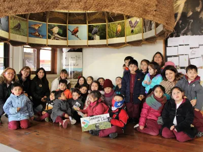 Desde la Segunda Semana de Enero  Galería Sur Vivo presentará nueva muestra interactiva de imagen y Sonido “Mamíferos Marinos y Aves Costeras”