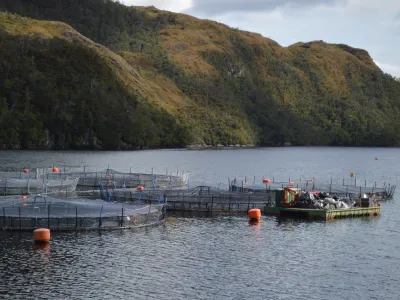 El Niño: SMA refuerza a titulares de Centros de Engorda de Salmones la necesidad de adopción de medidas preventivas ante posibles floraciones algales nocivas y mortalidades masivas
