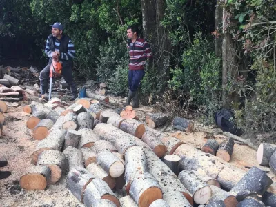 El Último Suspiro de los Leñadores de la Cordillera