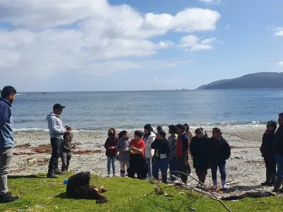 En Frutillar, Puerto Octay y Purranque: Parque eólico Puelche Sur abre postulaciones de su fondo concursable para proyectos comunitarios y ecológicos