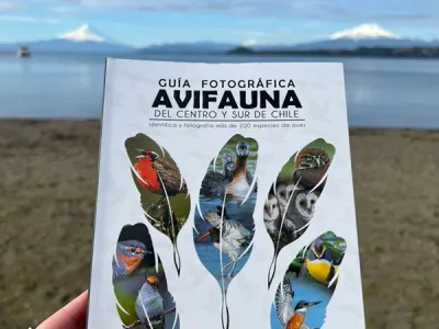 En Puerto Varas se realizó el Lanzamiento de la  "Guía Fotográfica de Avifauna del Centro y Sur de Chile"