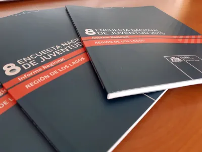 Encuesta Nacional de Juventud: 40% de los jóvenes de Los Lagos afirmó estar trabajando