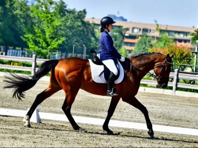 Equitadoras de Puerto Varas y Llanquihue cosechan títulos en el Campeonato Nacional de Adiestramiento Ecuestre