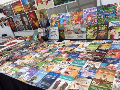 Esta semana en calle techada Santa Rosa Feria del Libro "Puerto Varas Arte y Libros 2018"