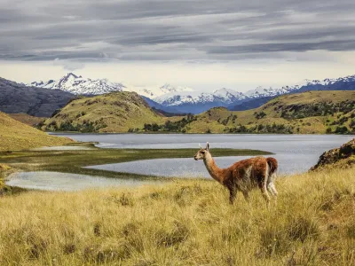 Estreno este miércoles 13 de abril: Parques nacionales chilenos son destacados en serie documental de Netflix narrada por Obama