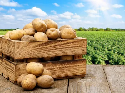 Explican las propiedades de la papa y cómo prepararlas para obtener mayores beneficios nutricionales