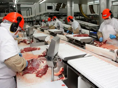 Exportación de carne bovina crece 15 % en Los Lagos y tiene como principal destino a China 