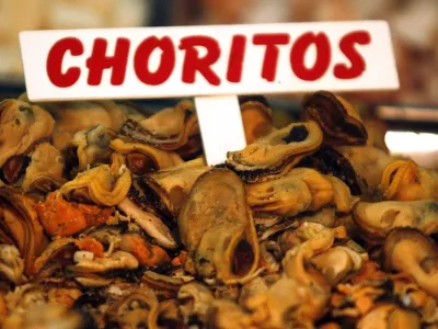 Ferias libres y pescadores de Los Lagos buscan crear alianza comercial para aumentar el consumo local de productos del mar