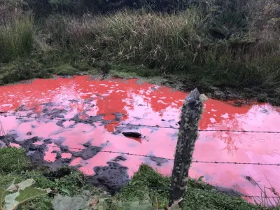 Fiscalía de Castro abre investigación de oficio por vertimiento de pintura a río Trainel 