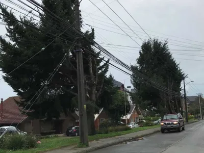 Foto Denuncia poda de árboles en calle Imperial