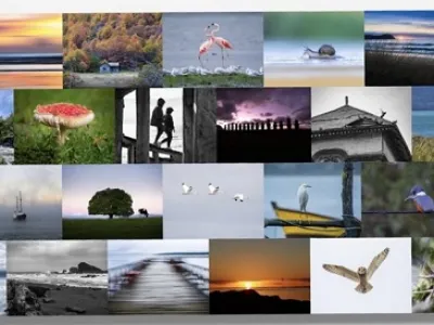 Fotógrafos locales participan de exposición fotográfica “Capturando la luz: belleza y emoción” de la comunidad Rayados por las fotos de la Región de Los Lagos