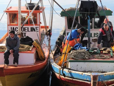 Fundación Chinquihue entregará becas de estudio a hijos de pescadores artesanales de la región de Los Lagos