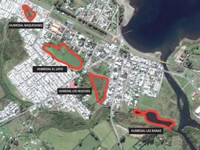 Fundación Legado trabaja para proteger humedales de Llanquihue