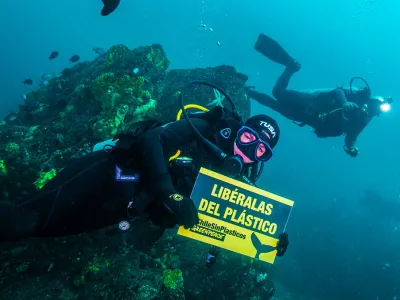 Greenpeace: “El sobreconsumo de plástico es la pandemia que afecta a la fauna como aves, chungungos y ballenas”