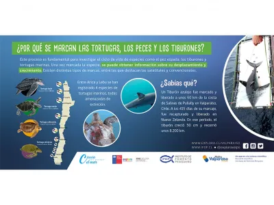 IFOP y Explora Valparaíso lanzan campaña para conocer la investigación científica en torno al mar