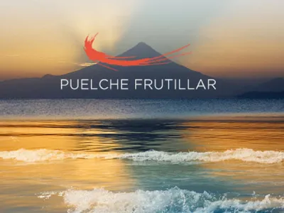 II Foro Internacional de Creatividad y Aprendizaje Puelche Frutillar