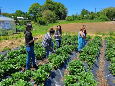 Inédito curso online estará dirigido a mujeres profesionales del sector agrícola