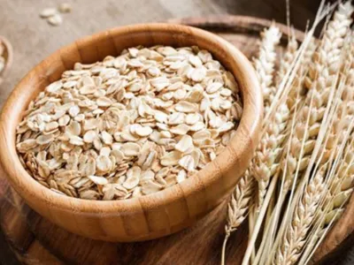 Instituto de Investigaciones Agropecuarias: ¿Qué alimentos me ayudan a fortalecer el sistema inmunológico en periodos de cuarentena e influenza?