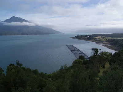 Investigación reveló la serie de fenómenos ambientales que produjo la mortalidad de 40 mil toneladas de salmones en 2016