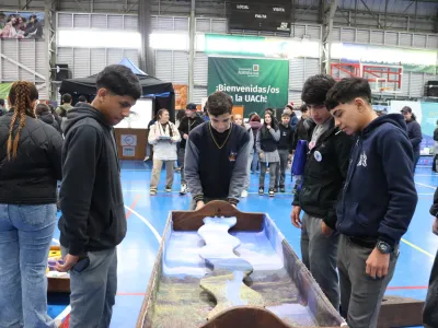 IV Feria de Derechos Humanos reunió a más de 600 estudiantes de la Región de Los Lagos