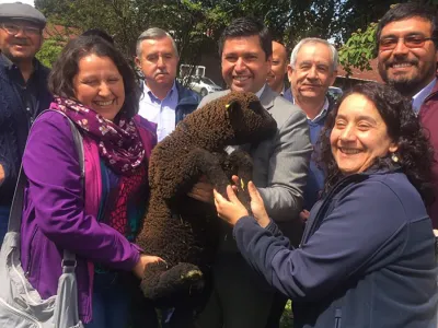 Lanzan sello de origen del cordero Künko para diferenciar producción ovina de la costa