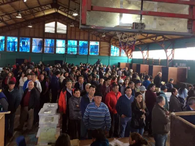 Largas filas para votar en Puerto Varas