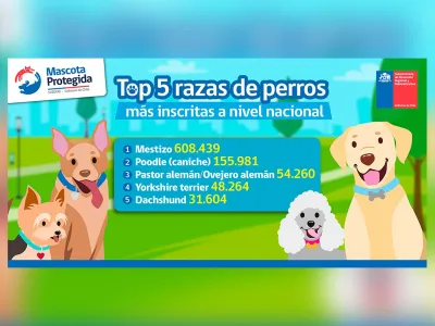 Las curiosidades del Registro Nacional de Mascotas a dos años de su obligatoriedad