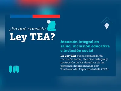 Ley TEA fue publicada en Diario Oficial