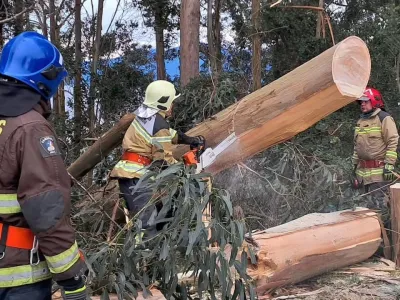 48 emergencias atendió Bomberos en Puerto Varas producto del temporal que ha azotado la zona los últimos dos días
