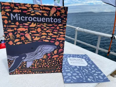 Más de 800 niños y niñas participaron en actividades de divulgación científica desde Puerto Varas hasta Punta Arenas