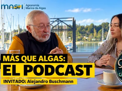 Más que Algas, el podcast:  Referente internacional en ciencias del mar Alejandro Buschmann protagoniza segundo capítulo