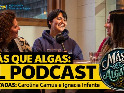Más que Algas estrena nuevo podcast para acercar la ciencia de las macroalgas