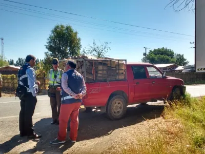 Mesa Regional de Fiscalización Forestal realizó inspección educativa en Osorno
