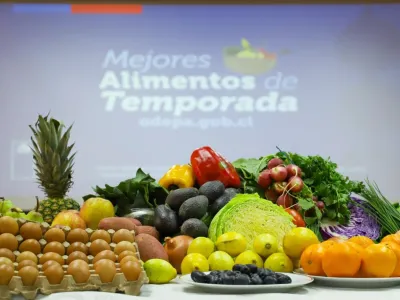 Ministerio de Agricultura refuerza programa “Mejores Alimentos de Temporada” -MAT- e incorpora a la Región de Los Lagos en monitoreo 